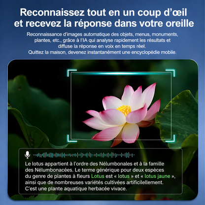 iGlasses+ AI Smart FR